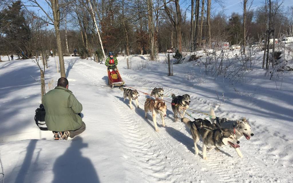 Závod psích spřežení v České Kanadě