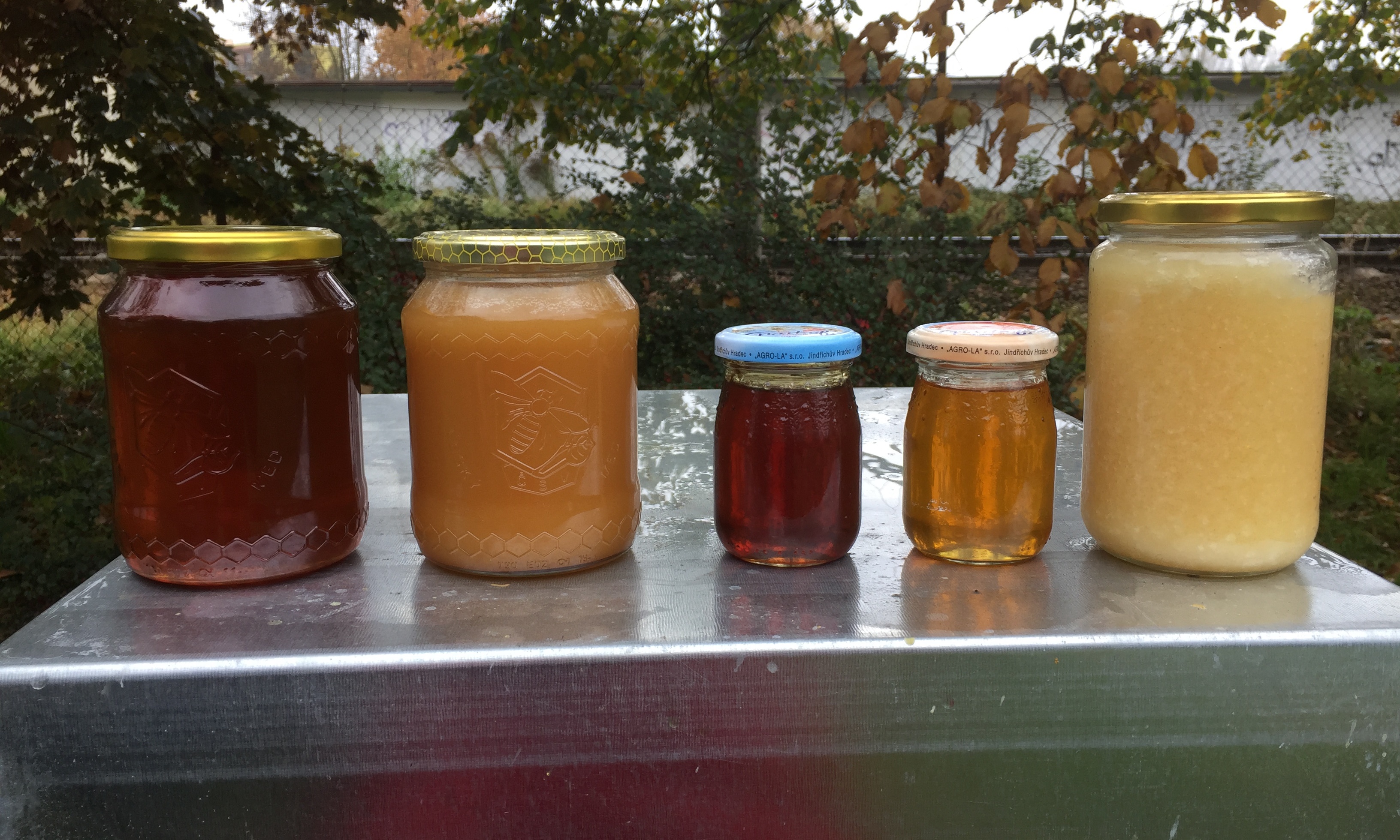 Zleva med smíšený (z nektaru a medovice), lipový med nektarový, jitrocelový sirup, pampeliškový sirup (nazývaný nesprávně pampeliškový med) a předčasně vytočený nektarový med, který hrubě zkrystalizoval a začal kvasit