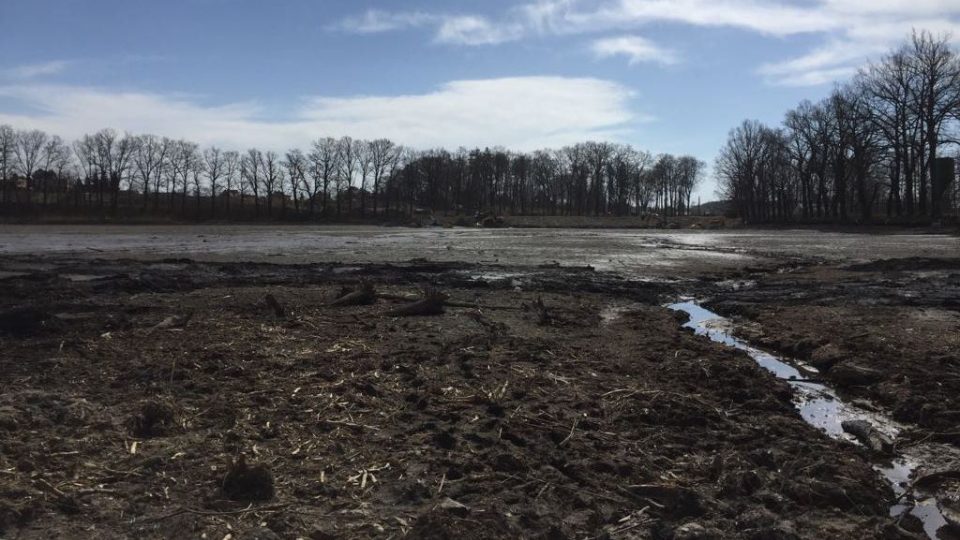 Rybník Nový u Soběslavi se odbahňuje. Dohlíží na to i ekologové, kteří odsud přenesli vzácné živočichy a rostliny