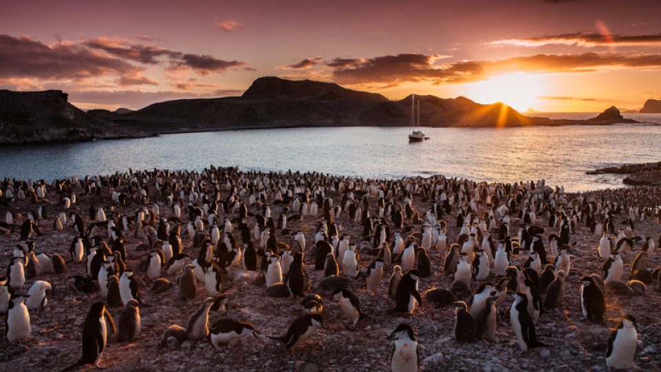 Fotografie Václava Šilhy. Antarktida