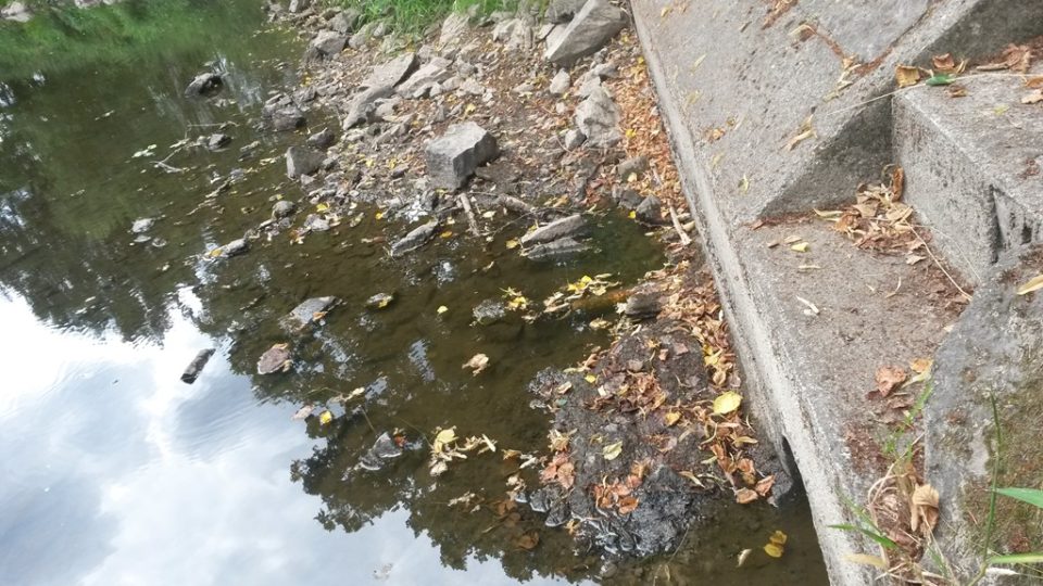 Řeka Nežárka u obce Hamr nedaleko Veselí nad Lužnicí. V jihočeských tocích je v polovině července 2015 velmi málo vody
