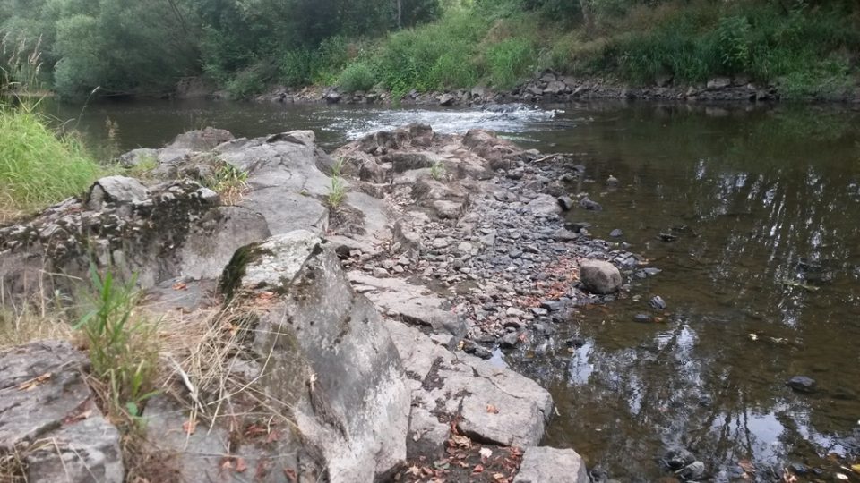 Řeka Nežárka u obce Hamr nedaleko Veselí nad Lužnicí. V jihočeských tocích je v polovině července 2015 velmi málo vody