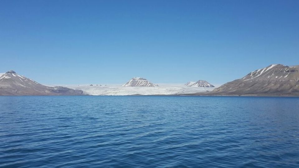 Ledovec Nordenskiold, ledovce v Arktidě kvůli oteplování ubývají