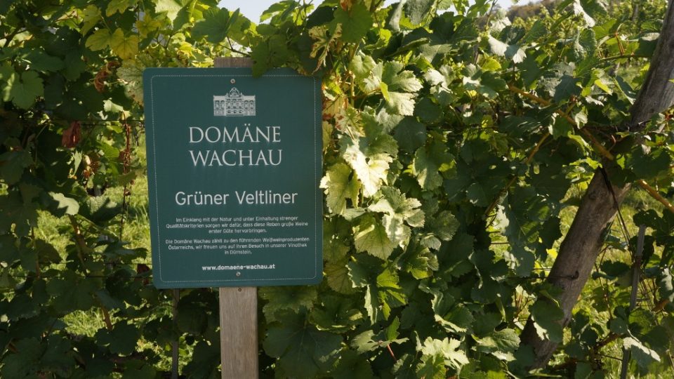 Vinařskou oblast Wachau v Rakousku si můžete prohlédnout se speciálně vyškolenými průvodci