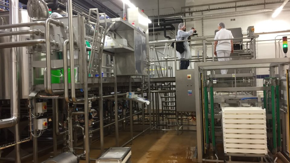 Výroba sýrů v mlékárenském podniku Madeta v areálu v Plané nad Lužnicí
