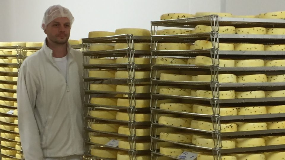 Výroba sýrů v mlékárenském podniku Madeta v areálu v Plané nad Lužnicí. Na snímku ředitel závodu v Plané David Fajfr