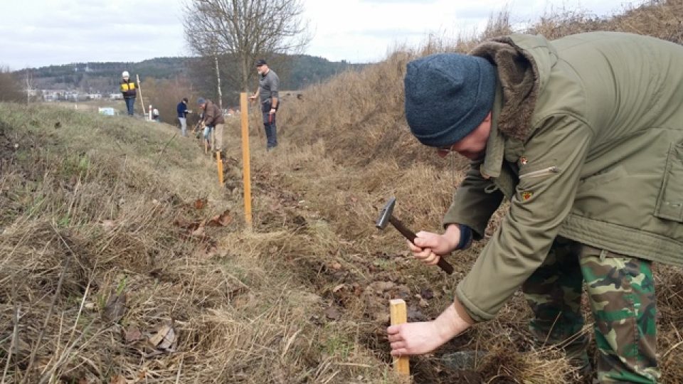 Dobrovolníci staví takzvané migrační zábrany pro žáby u výpadovky ze Strakonic směrem na Volyni