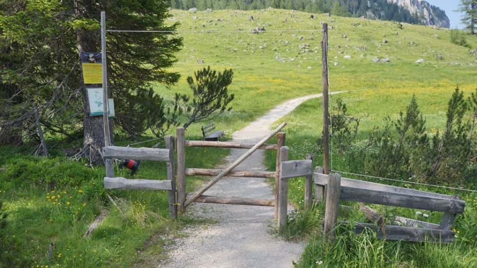 Hornorakouské horské údolí Wurzeralm nabízí turistům přibližně dvouhodinová nenáročná vycházku po naučné stezce