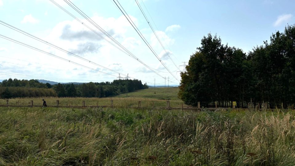 Šetrná údržba ochranného pásma pod dráty elektrického vedení v areálu bývalého vojenského tankodromu Mladotice na Písecku