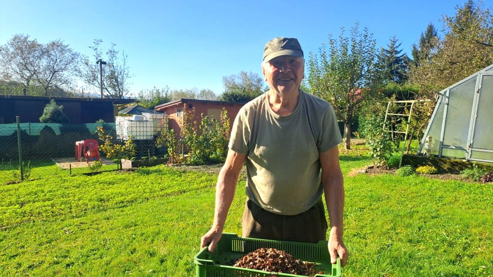 Antonín Maňur si přivydělává sběrem bukvic