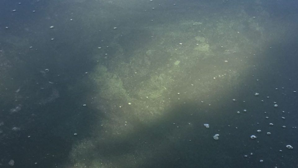Jedním z rybníku, kde vědci sledují množství sinic, je Bezdrev