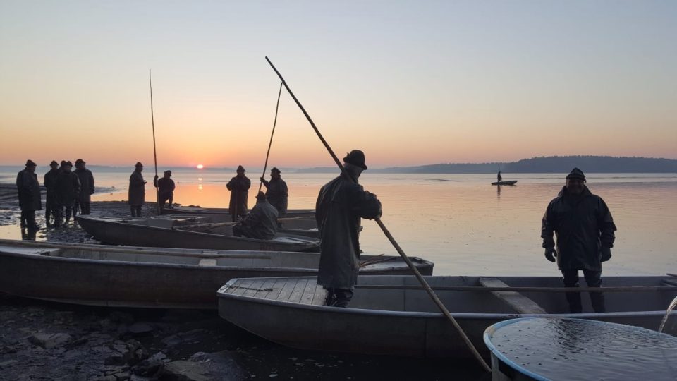 Výlov rybníka Rožmberk v říjnu 2018. Rybáři začínají zatahovat sítě už s východem slunce