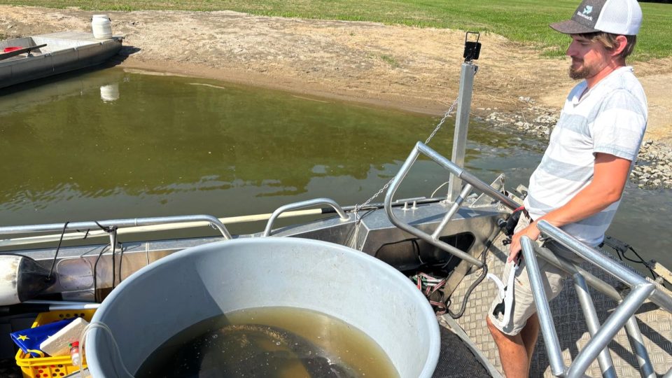 Monitoring rybí obsádky v přehradě Lipno