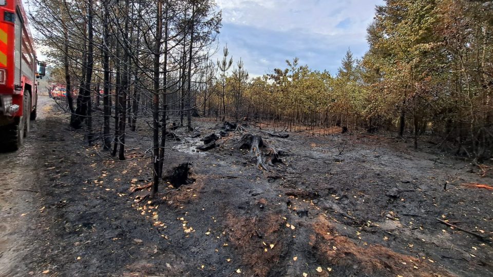 Dohašování požáru v Jetěticích na Písecku, oheň tu spálil 40 hektarů lesa