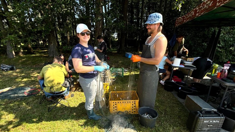 Monitoring rybí obsádky v přehradě Lipno