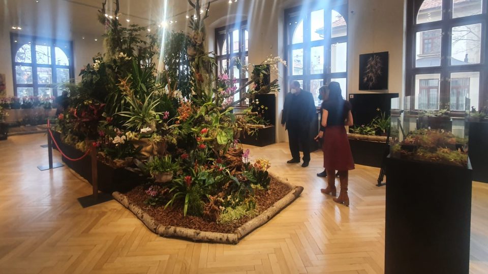 Výstava exotických rostlin a zvířat v Jihočeském muzeu v Českých Budějovicích