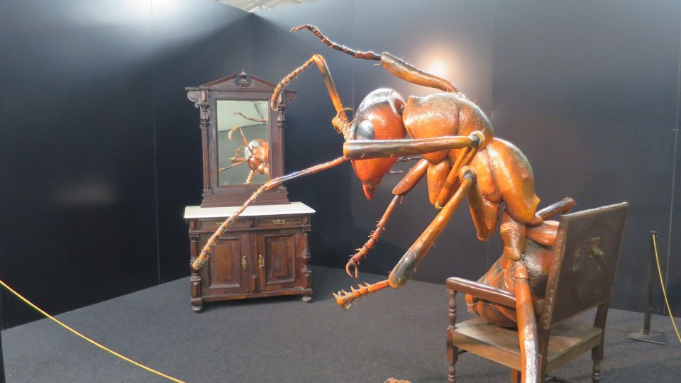Úvodní část expozice patří mravenci