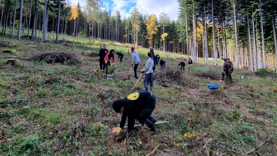 Organizátoři českobudějovického Majálesu založili vlastní les. S dobrovolníky vysázeli 400 buků u Starých Hodějovic