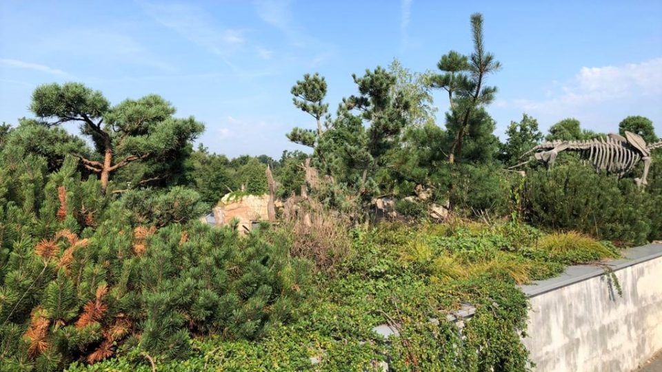 Trvalové záhony a zelené střechy v Zoo Hluboká zaujaly porotu ekologické soutěže Adapterra Awards