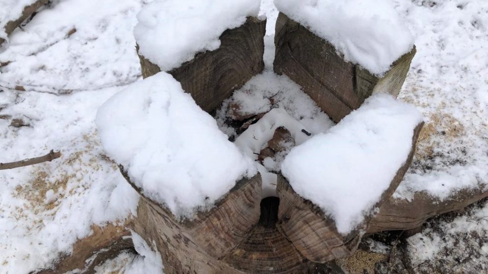 Lesníci z Krajského školního hospodářství chodí v zimě pravidelně přikrmovat zvěř