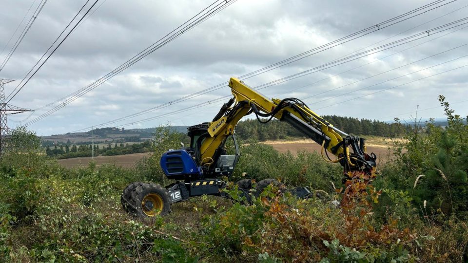 Šetrná údržba ochranného pásma pod dráty elektrického vedení v areálu bývalého vojenského tankodromu Mladotice na Písecku