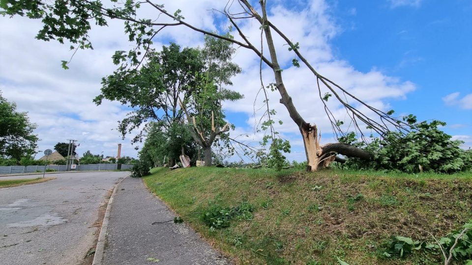 Následky bouřky v Dřítni na Českobudějovicku. Vítr polámal asi padesát stromů v centru obce