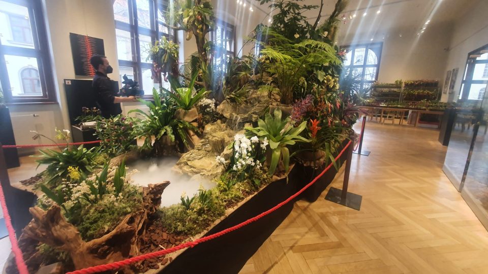 Výstava exotických rostlin a zvířat v Jihočeském muzeu v Českých Budějovicích