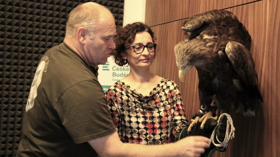 Sokolník Milan Zaleš předává orla mořského moderátorce Jitce Cibulové Vokaté
