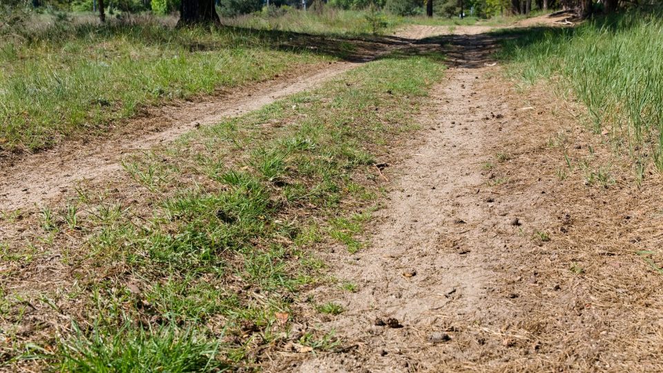 Mocnost písčité vrstvy dosahuje až 20 metrů. Vznikla navátím sedimentů neogenního moře | foto: Zdeněk Truhlář, Český rozhlas Mocnost písčité vrstvy dosahuje až 20 metrů. Vznikla navátím sedimentů neogenního moře