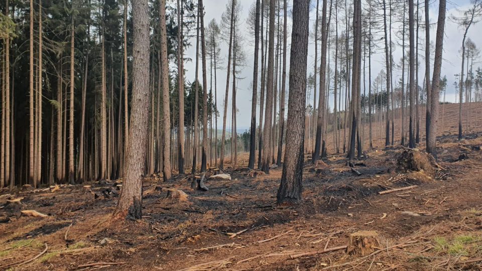Následky velkého lesního požáru u obce Lštění na Prachaticku