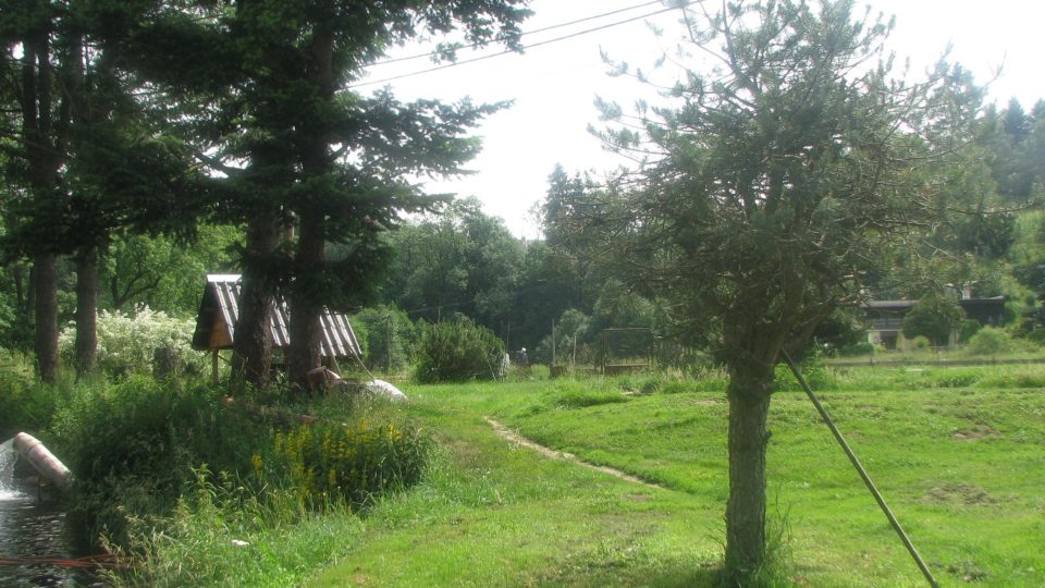 Pstruhařství ve Vysokém potoce najdete nedaleko Hanušovic