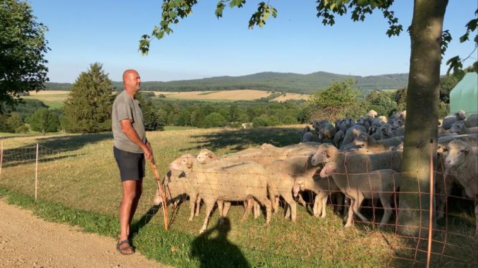 Robert Blíženec chová ovce poblíž Horní Stropnice na Novohradsku