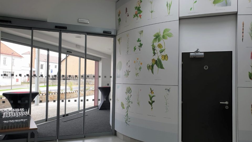 Pacienty ve vstupní hale vítá výzdoba z botanickych grafik