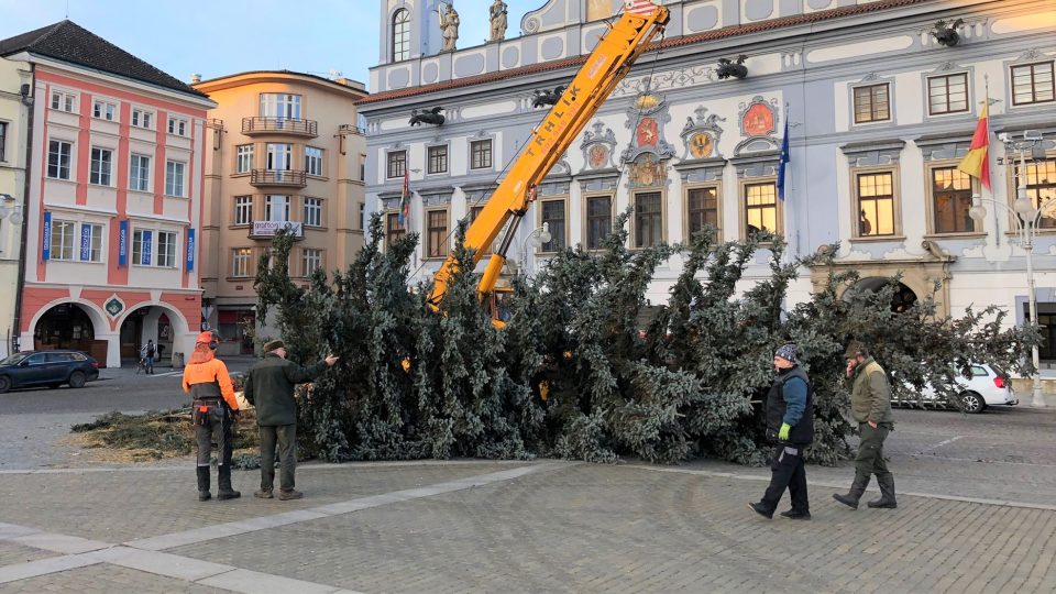Odvoz vánočního stromu z českobudějovického náměstí