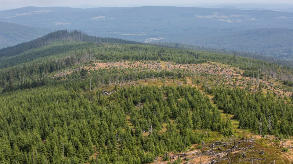 Bezzásahová zóna v okolí Poledníku v Národním parku Šumava