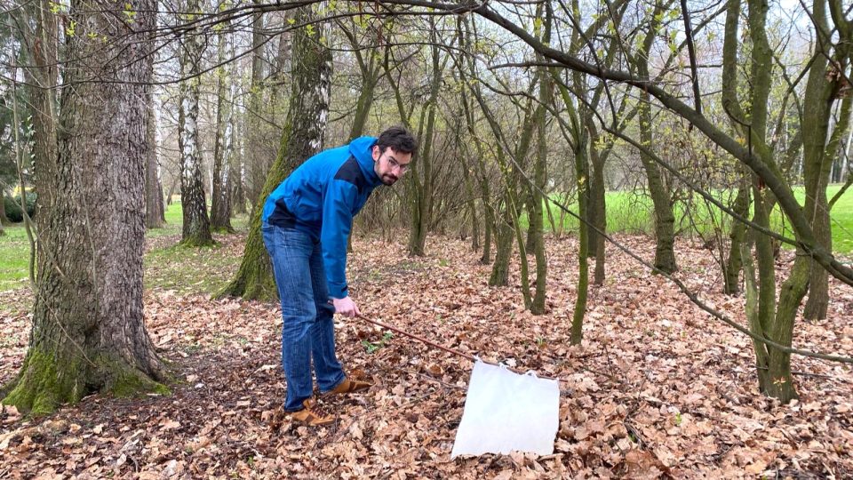Parazitolog Václav Hönig sbírá klíšťata v českobudějovickém parku Stromovka