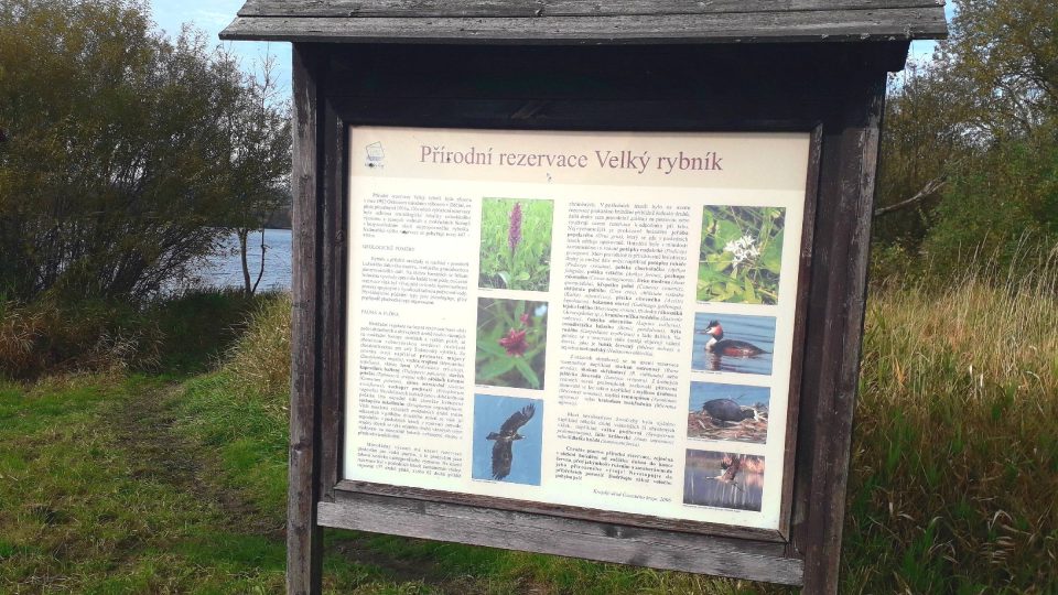 Informace o přírodní rezervaci Velký rybník