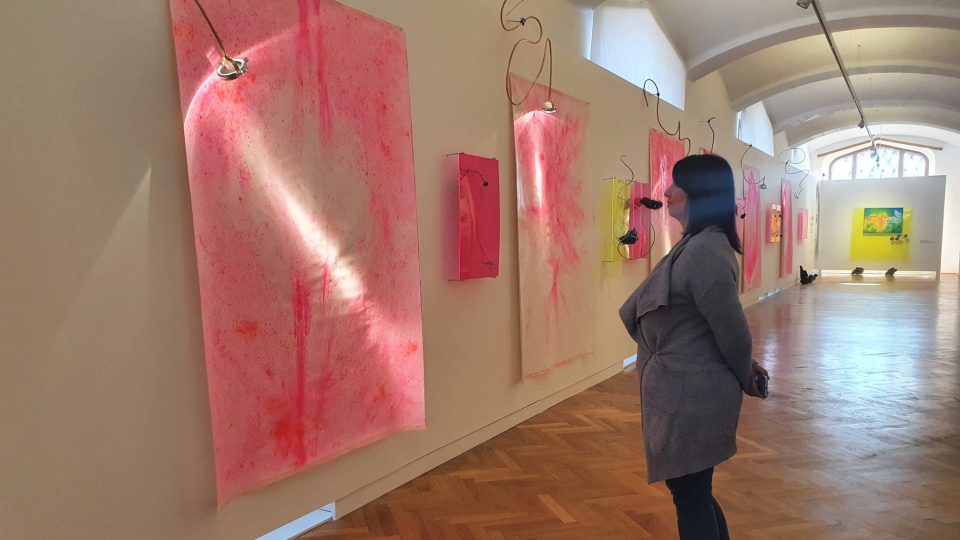 Díla Margity Titlové Ylovsky zaplnila Alšovu jihočeskou galerii v Hluboké nad Vltavou