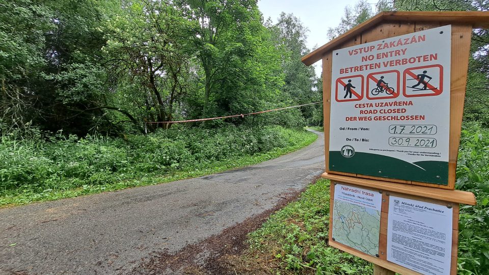 Kvůli četným polomům jsou uzavřené některé turistické trasy na Šumavě