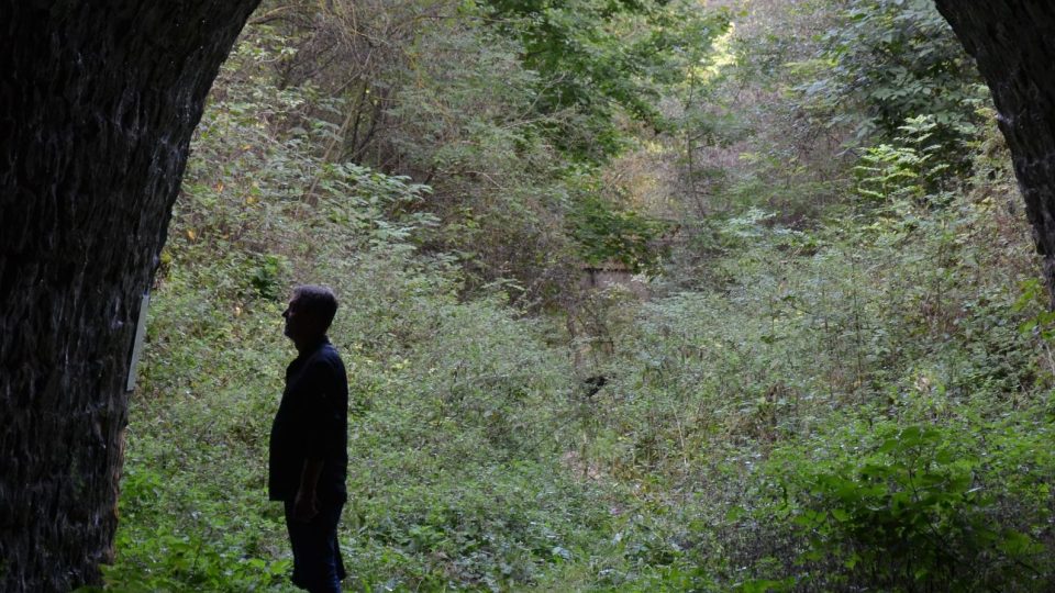 Vápenec se v lomu Požár 1 těžil do 2. světové války