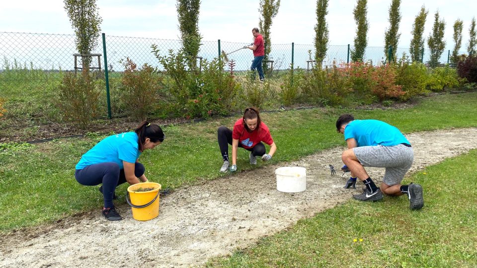 Dobrovolníci z firmy E.ON pomáhají na zahradě chráněného bydlení ve Veselí nad Lužnicí