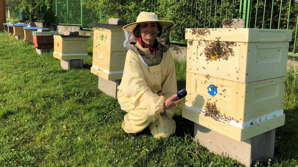 Reportérka Jitka Cibulová Vokatá u včelích úlů v experimentální a vzdělávací zahradě Biologického centra Akademie věd v Českých Budějovicích