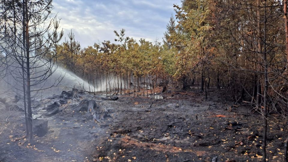 Dohašování požáru v Jetěticích na Písecku, oheň tu spálil 40 hektarů lesa