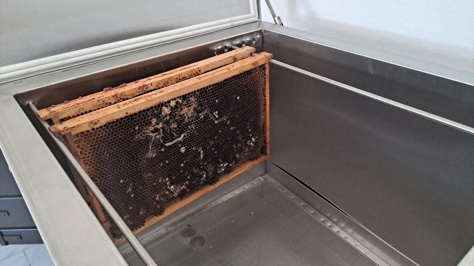 Apicentrum v Protivíně přibližuje život včel a práci včelařů