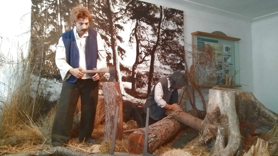 Expozice lesů a lesnictví ve chvalšínském muzeu