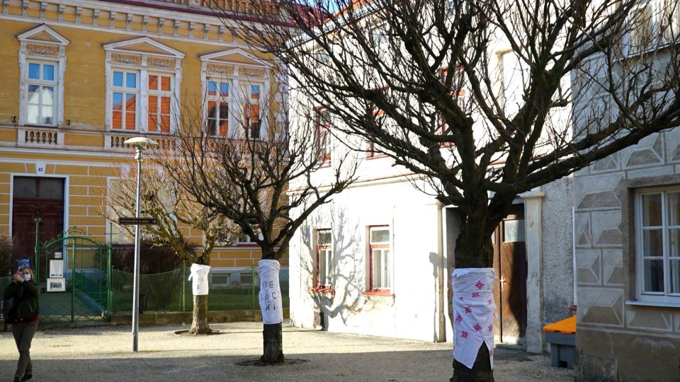 Kácení stromů a protesty ve Slavonicích
