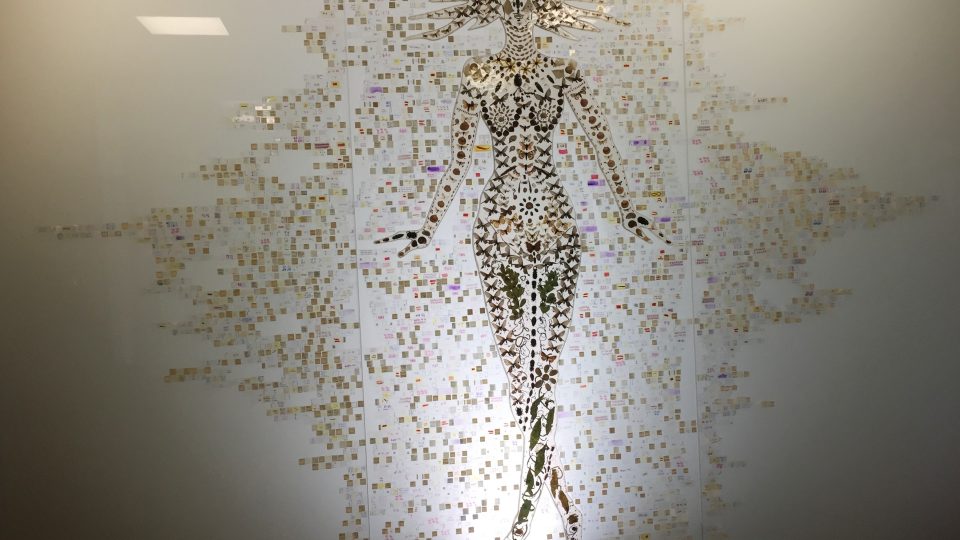 Českobudějovické Biologické centrum Akademie věd má vědecko-umělecké dílo z hmyzu a parazitů