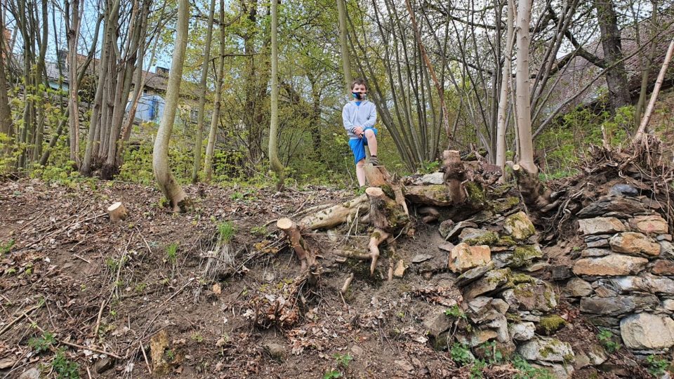 Město Vimperk na podnět občanů obnovilo pivovarské terasy. Po odstranění náletových dřevin je z nich zase vidět na vimperský zámek