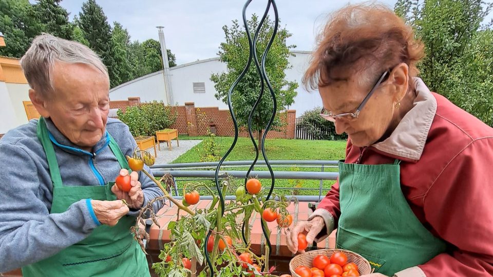 Jednou z aktivit, které se věnují klienti Domova seniorů Mistra Křišťana v Prachaticích, je péče o zahradu