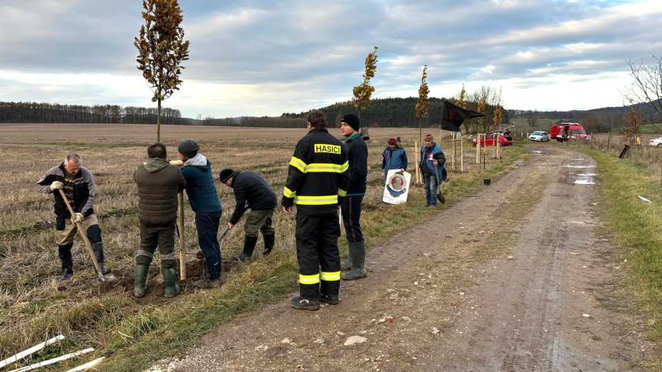 Sázení Žižkových dubů nedaleko rybníka Střela na Strakonicku